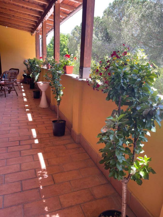 Hotel La Terrazza Dei Ciliegi Santa Maria Degli Angeli  Zewnętrze zdjęcie