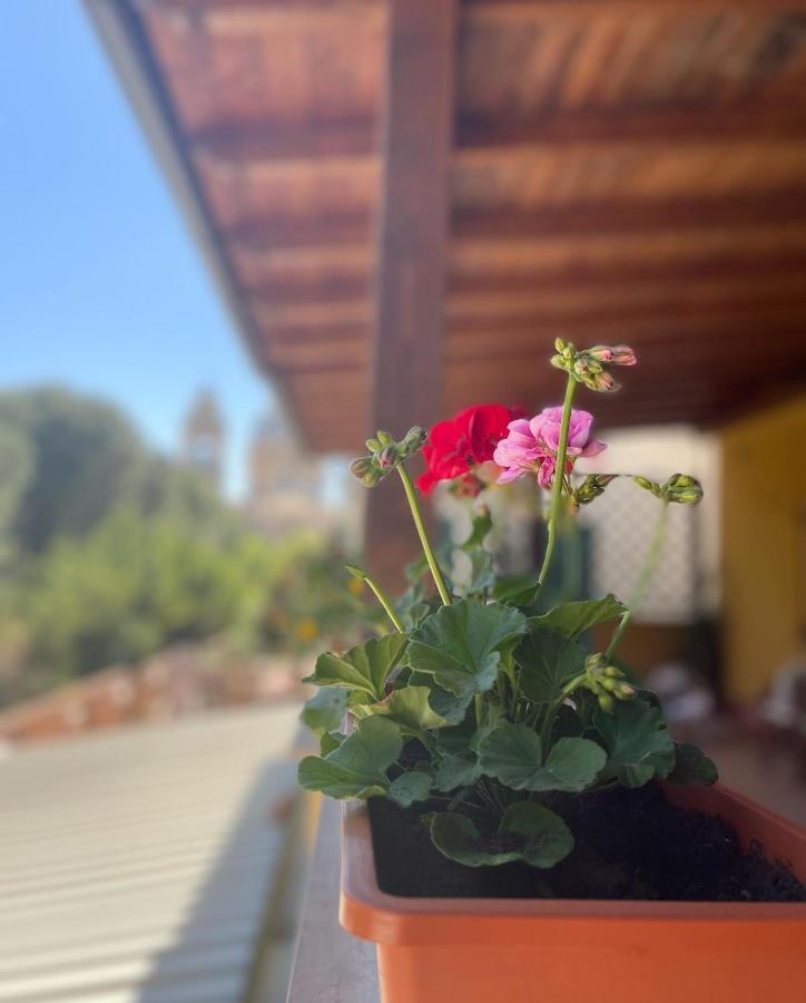 Hotel La Terrazza Dei Ciliegi Santa Maria Degli Angeli  Zewnętrze zdjęcie